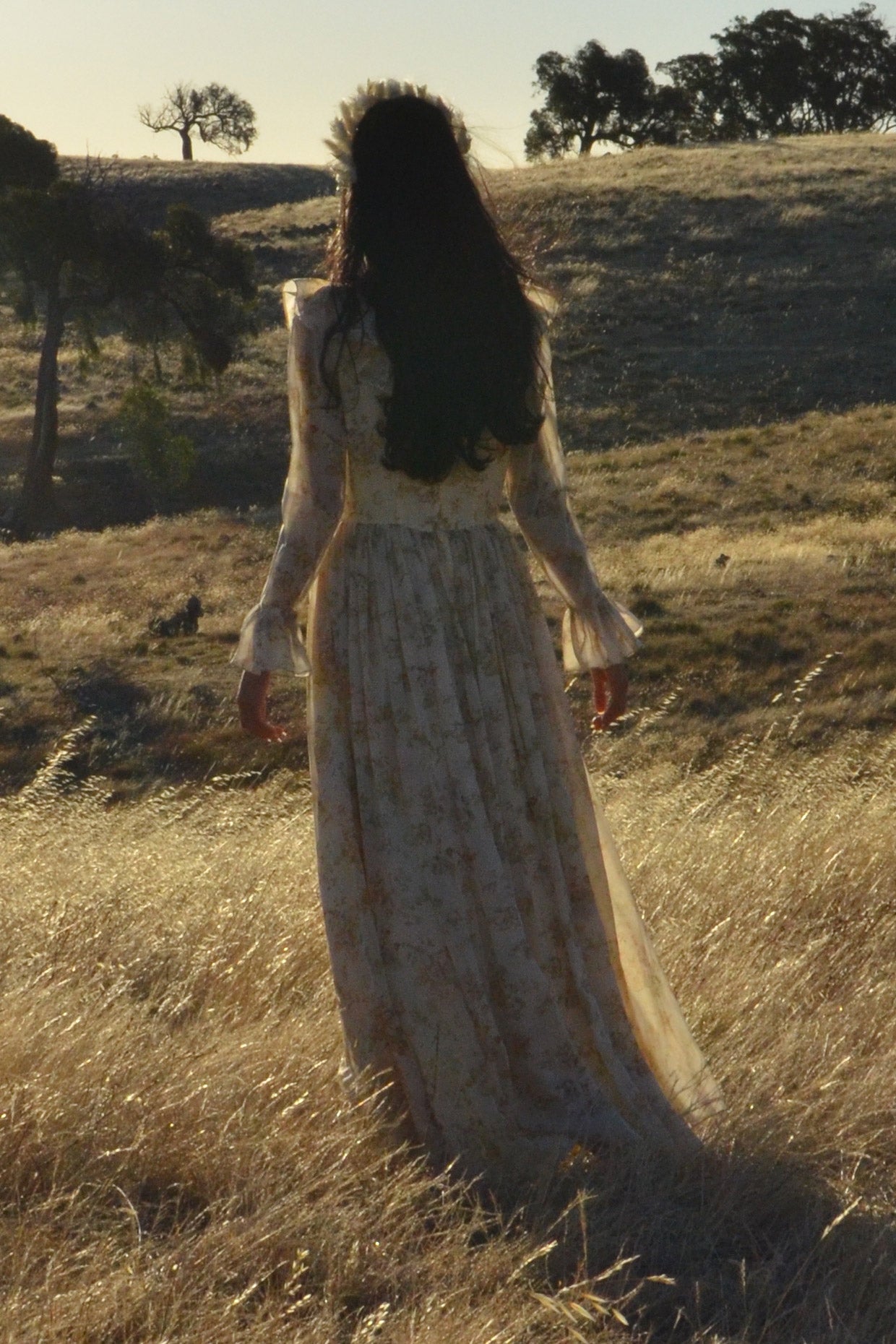 1970s Floral Chiffon Gown