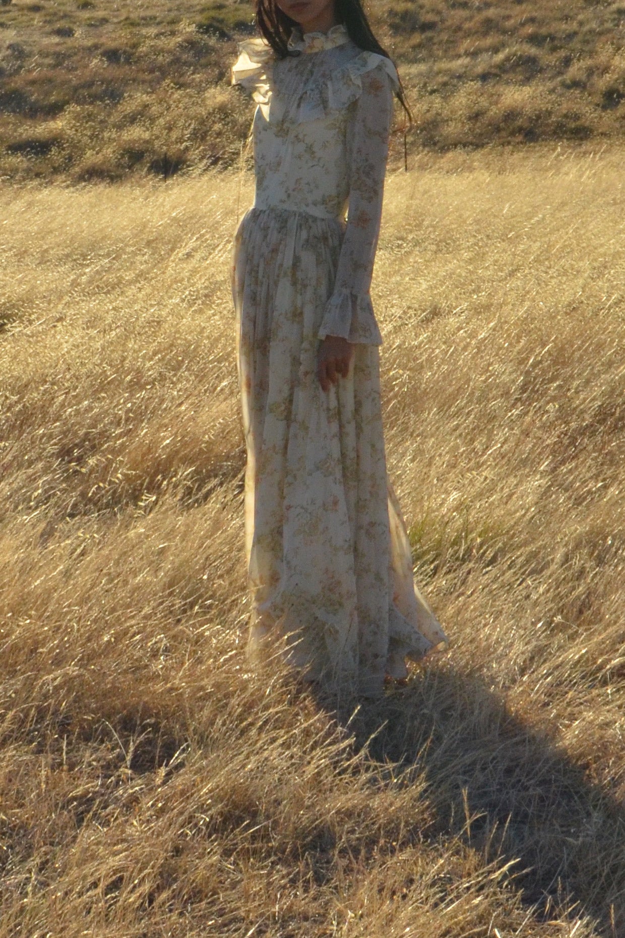 1970s Floral Chiffon Gown